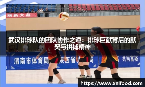 QY千亿球友会，QY球友会官网