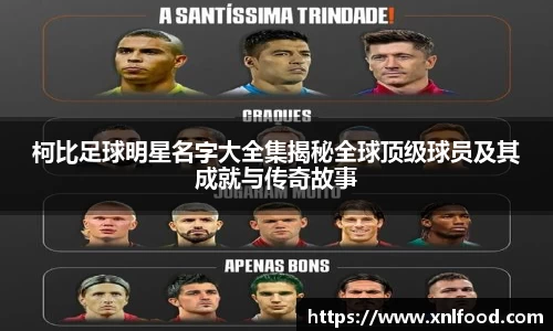 QY千亿球友会,QY球友会官网